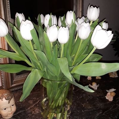 YJRM9's profile picture. Je suis passionnée d'histoire et de Patrimoine