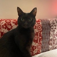 Amanda (@amandasmjack) 's Twitter Profile