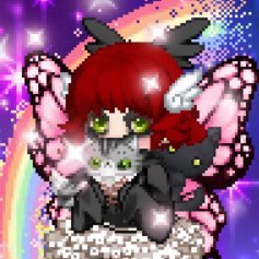 Dina🧚🏻‍♀️さんのプロフィール画像