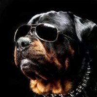 Messias (@messias72135312) 's Twitter Profile