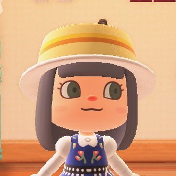 Animal Crossing: New Horizon custom designs retweeted from the original creators. Banner is by https://t.co/sxHuIPMfgK