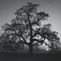 ابونواس الحكيم (@abdosh0123) 's Twitter Profile