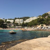 Sally mcAllister (@mrsmcallister7) 's Twitter Profile Photo