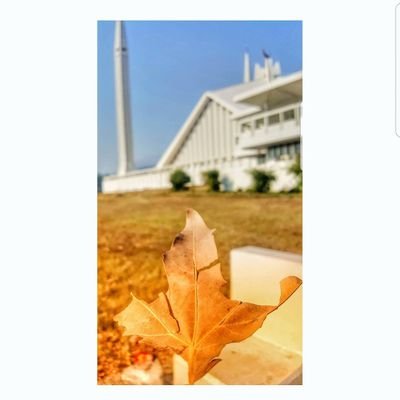 Fatima01214440's profile picture. 