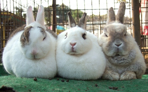 miku_24's profile picture. 好きなもの：映画・ドラマは日中韓米英なんでも。『海猿』最高!!英明さん、時任さん。StarTrek Robocop Space Sweepers他SF大好き。最近はOWV沼に入りかけてます。