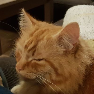 HelenJacksonHR's profile picture. 