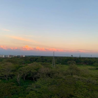 malepaes123's profile picture. Romántica