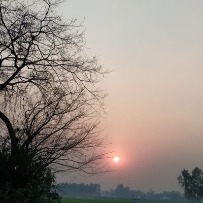 ShahriarSanto5's profile picture. i m shahriar shanto