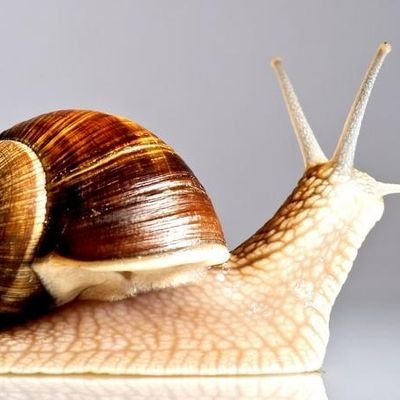 NeriMaximiliano's profile picture. Ingeniero Mecánico.