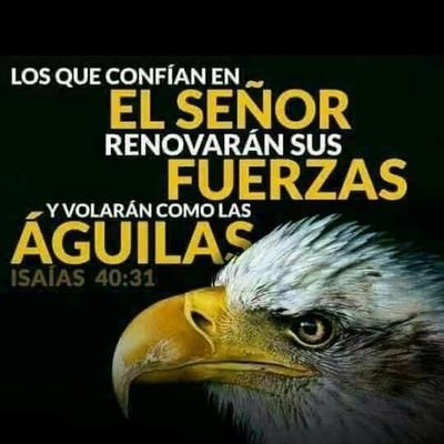 Ing Civil (UIS)
Especialista Evaluación y Gerencia de Proyectos (UIS)
Siempre con el ORDEN y la LIBERTAD!
Santandereano de Corazón!
🇮🇱🇨🇴🇺🇸