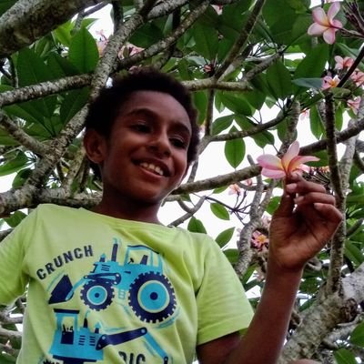 Dino Naing Profile