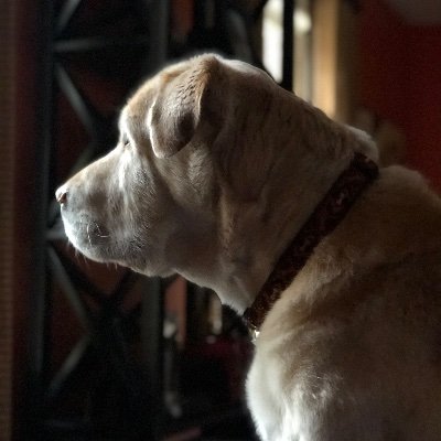 arobertbell3's profile picture. 