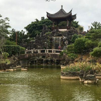 TheWarDonkey1's profile picture. I look to a day when people will not be judged by the color of their skin, but by the content of their character - Martin Luther King, Jr. #SHIB