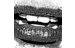 roamarubla's profile image
