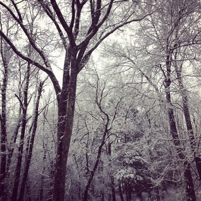 runtheodorerun's profile picture. not as bad as I fear, not as good as I’d wish