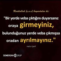 Metin Kayan (@metinka40824368) 's Twitter Profile
