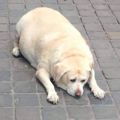 kantahantani's profile picture. I express my feelings through Social Media anonymously