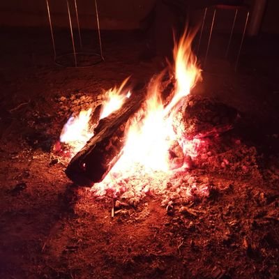 aTianliaoLin's profile picture. photography & music