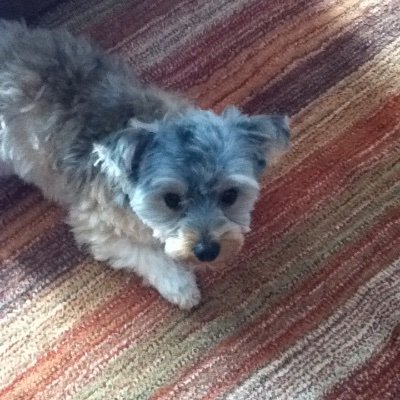 sane_2020's profile picture. 