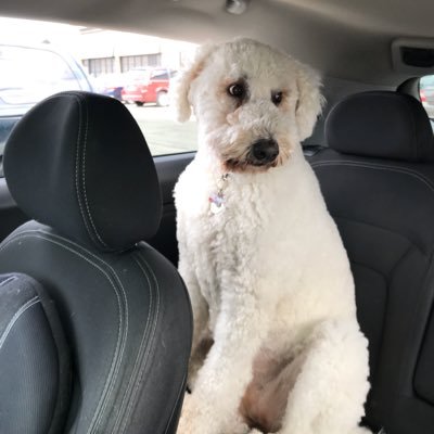 dad61515's profile picture. Sports fan who works too hard, so retired