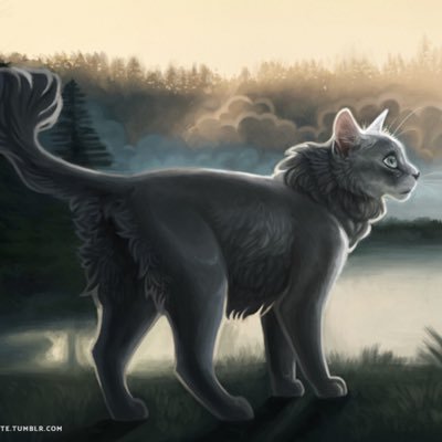 granmamistystar's profile picture. 