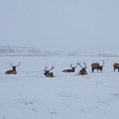 pat_core's profile picture. 