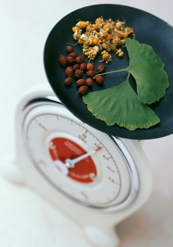 PerfectDiets's profile picture. Receive Free Diets and Healthy Recipes Daily Here! 
Diets that lose weight fast celebrity diets
http://t.co/GBMjH6RJf8