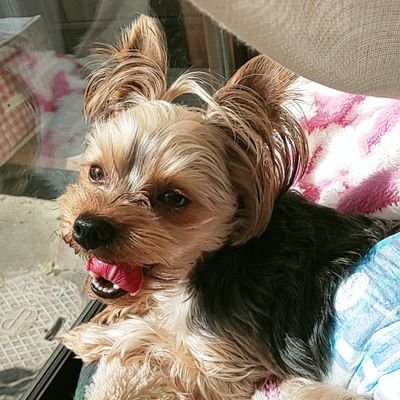 mIScxDIQCOYoeop's profile picture. ドラッグストアのレジ専です。
日々の疲れをここに吐き出します。
皆さんも頑張って下さい🍀*゜