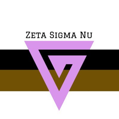 We are Zeta Sigma Nu, the first queer, trans, people of color, co-ed sorority at UC Santa Barbara. Welcome to the Pride.