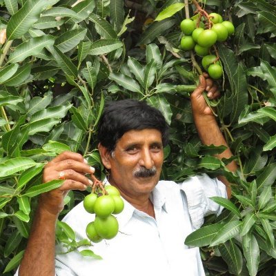 Mixed cropping, organic farming and water technologies veteran. National record holder for paddy and groundnut yields. Andhra Farmer.