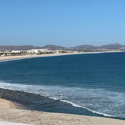 SKOL612's profile picture. 