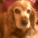 Candy Navarro - @candymamazita - Twitter