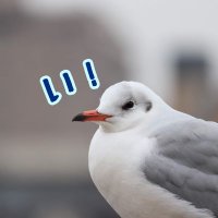 いbot (@iiiiiiiiii_i_i) 's Twitter Profile
