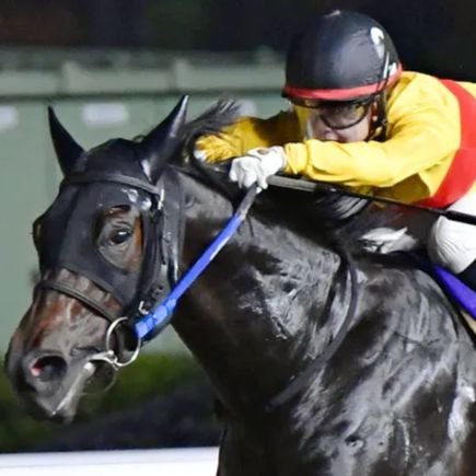 Sokai_CANDY's profile picture. 新宿租界で養った競馬力を藤田菜七子騎手の予想に全て捧げる。#新宿租界
https://t.co/q7Y8WdZhMG