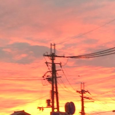 noeru423's profile picture. 基本雑食、下手の横好き/　ゲーム、PC、TCGなんでも気になったら手を出してみる人　広く浅く…