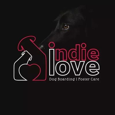 #IndieLove is a fully-cage-free foster care. with the vision to give a better life to our own indiedogs