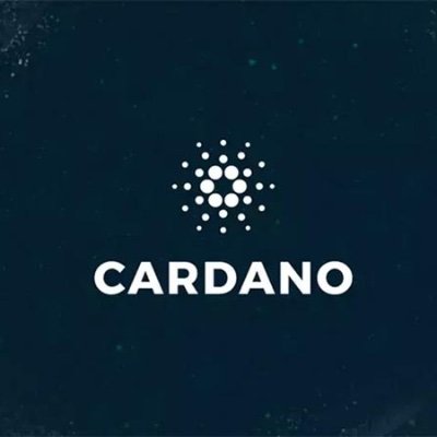 CardanoMSF Profile Picture