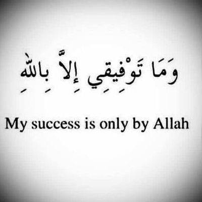 doksheeyman's profile picture. 