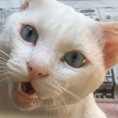 uniposan's profile picture. 山だの川だので遊どった頃が一番よか時代やったよ