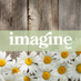 Imagine Health & Spa (@imaginespa) Twitter profile photo Imagine Health & Spa (@imaginespa) Twitter profile photo
