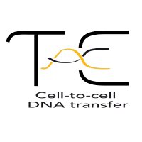 C. LESTERLIN - TacC LAB (@tacc_c) 's Twitter Profile Photo C. LESTERLIN - TacC LAB (@tacc_c) 's Twitter Profile Photo