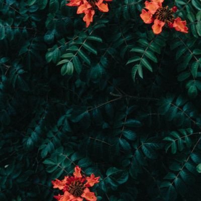 yamaleewang's profile picture. teacher