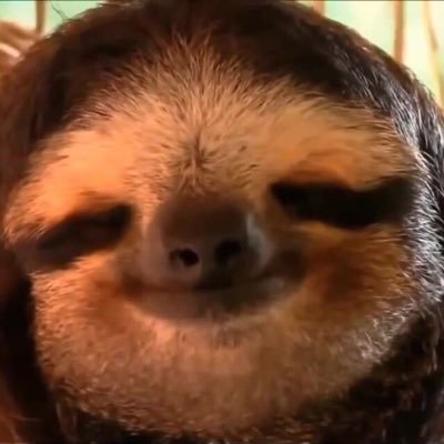 0xMamad's profile picture. Advanced Animal | Professional Procrastinator | Software Enthusiast | Epicure