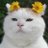 anhellopps's profile image