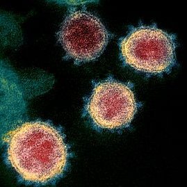 Soy un virus de RNA que lo único que quiere es viajar y conocer el mundo.