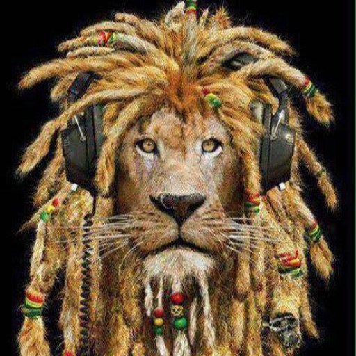 Liberal, Buddhist, IT Tech. Festival loving, Drum & Bass listening, Metalhead.! Part-time Athlete.!