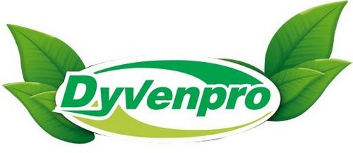 Dyvenpro Profile