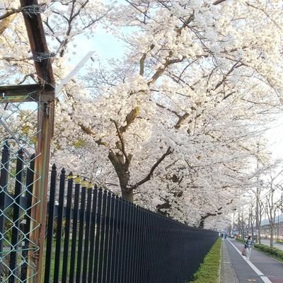 プロフィールの自己紹介画面なんてそうそういじらんから何でもいっかの精神。
基本フォロバするかもしれないししないかもしれない。