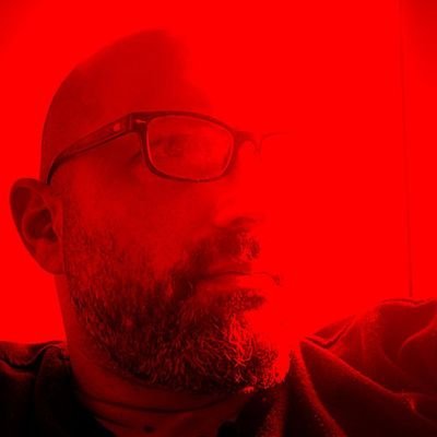 nimrodmeiri's profile picture. 