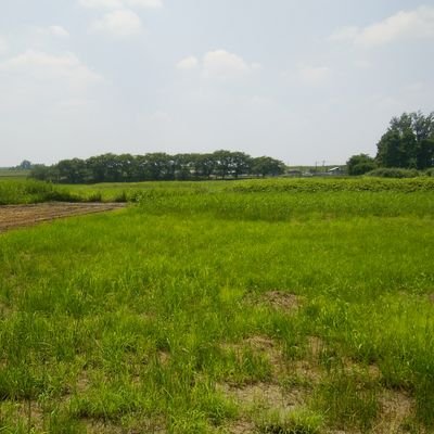 ITF.bres20　4クラ
趣味：マジック、生き物、ゲーセンの音ゲー